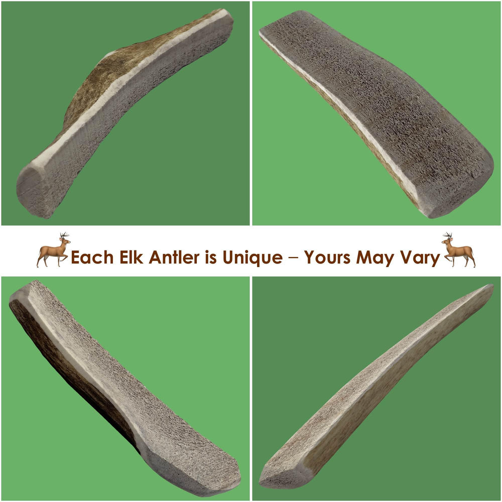 Deluxe Naturals dental masticable alce: apoyo para la higiene bucal de tu perro.