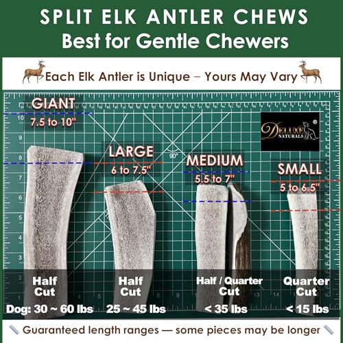 Deluxe Naturals masticables alce con corte: durabilidad y entretenimiento para perros.