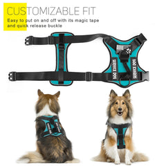 Harnais Demigreat réglable pour chien d assistance, ajustement précis.