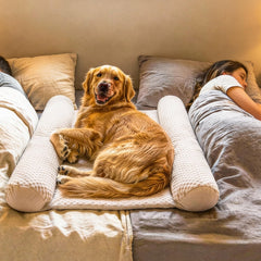 DenMate diseño de sueño compartido estabilizador ayuda a mantener al perro cómodo