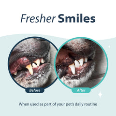 Aplicación diaria de Dental Fresh para perros y gatos, simplifica la higiene bucal.