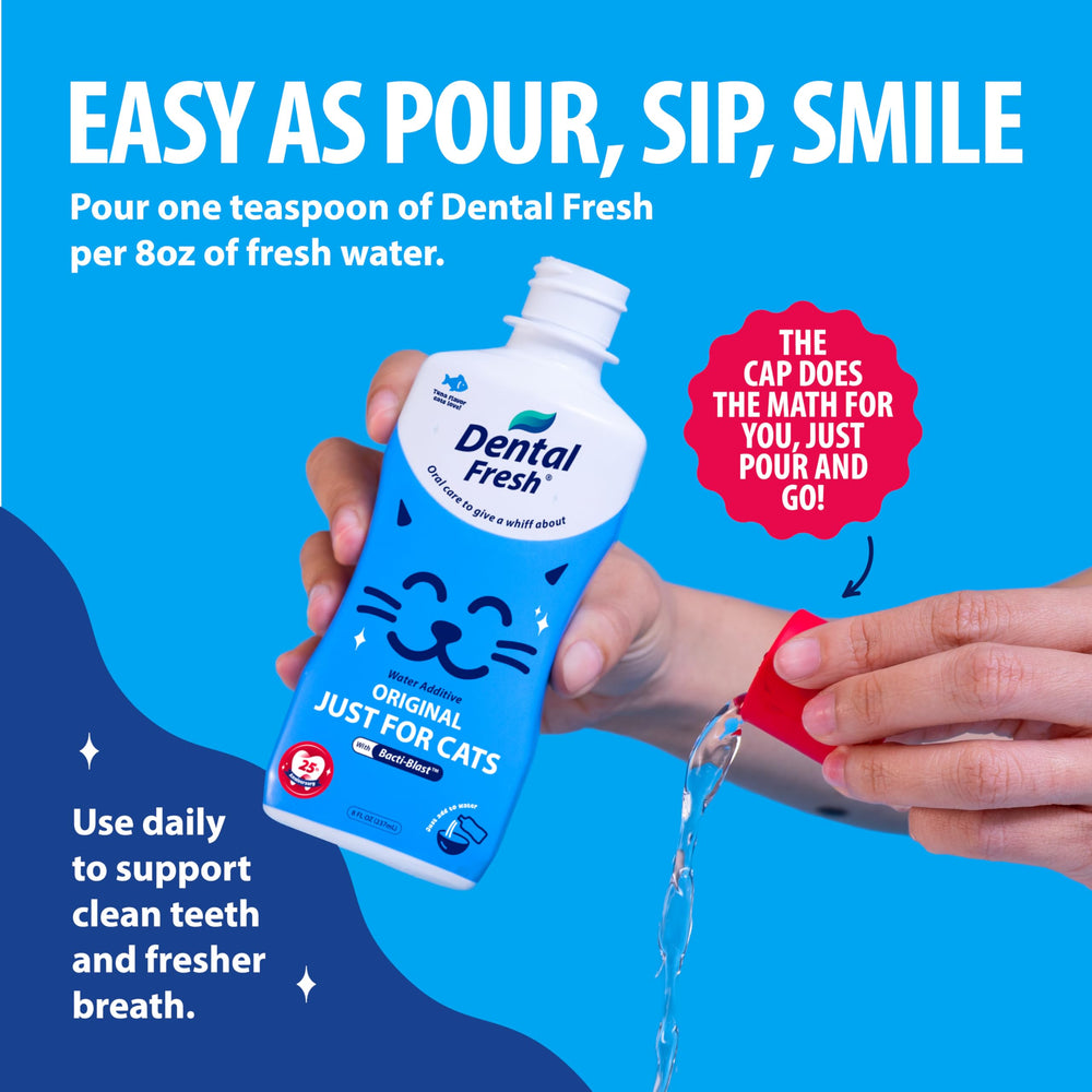 Dental Fresh Gato: uso diario para facilitar la higiene dental sin cepillado.