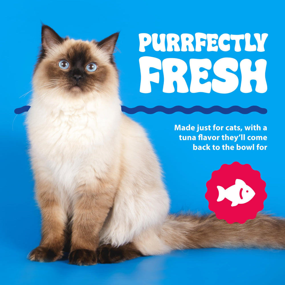 Dental Fresh Gato: recomendado por veterinarios y familias.