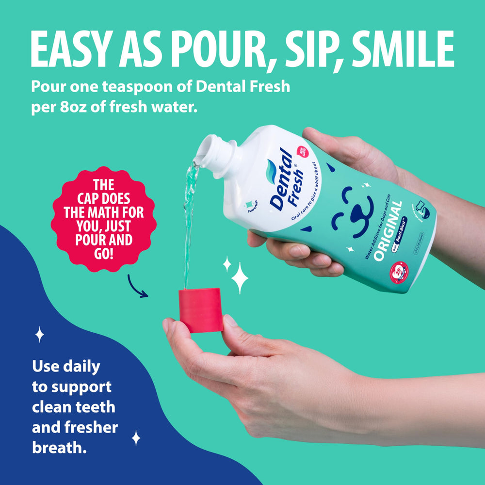 Perro bebiendo agua con Dental Fresh apoyo para higiene bucal