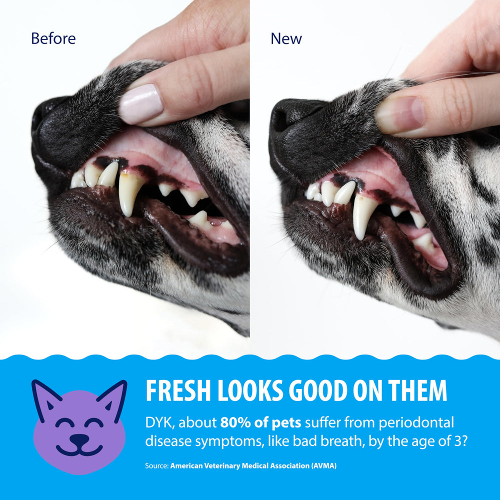 Dental Fresh-sabor-neutro mantiene hábitos normales de beber sin saborizantes artificiales.