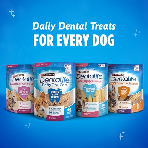 Dentalife bocaditos sabrosos para convertir el cuidado bucal en rutina
