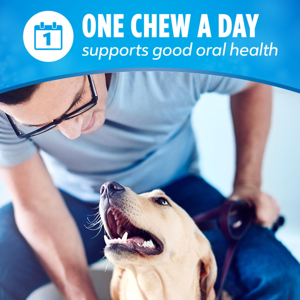 Dentalife Daily Oral Care: paquete recerrable para conservar la frescura.