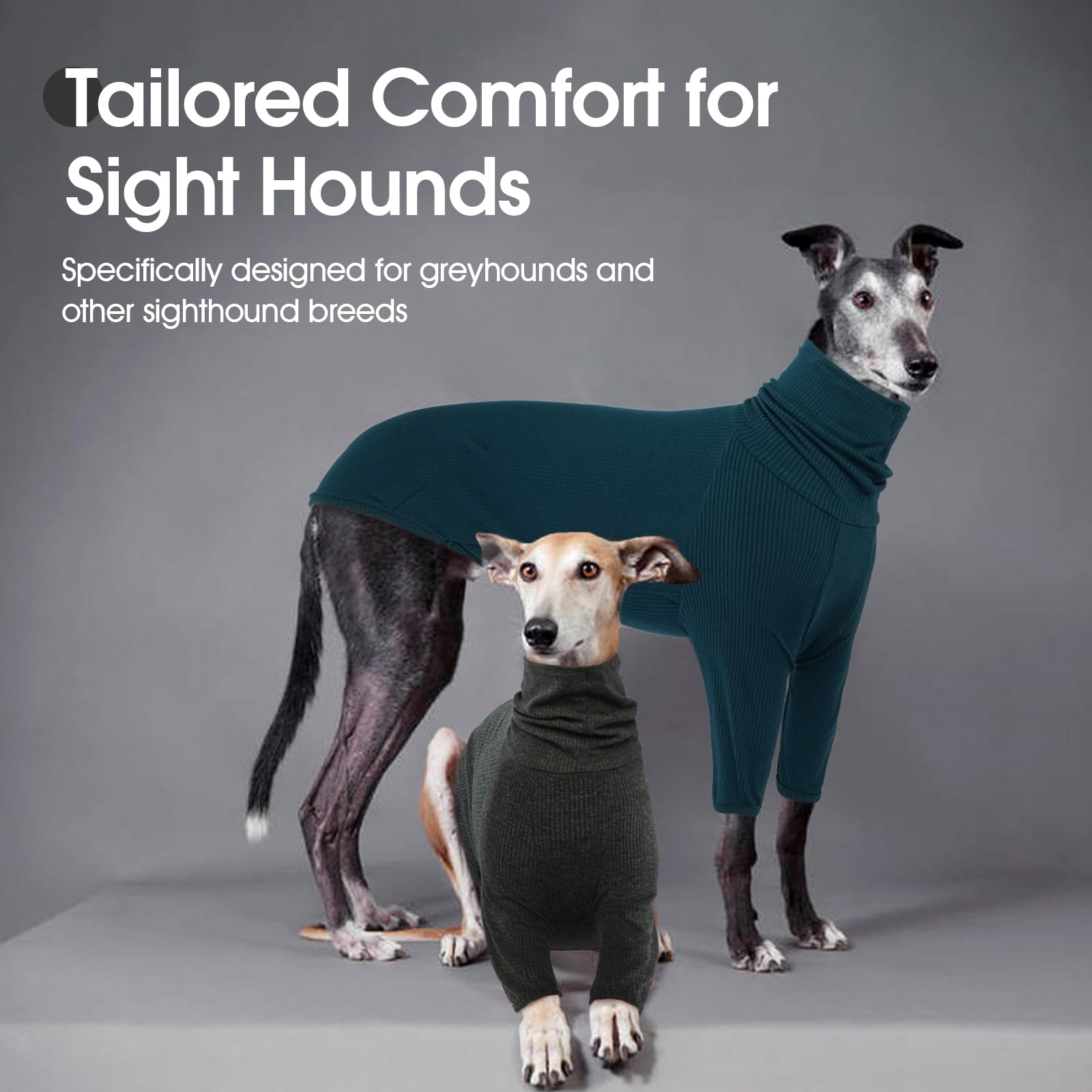 DENTRUN ajuste-ergonomico sudadera galgos italianos ajuste cómodo facilita vestir.
