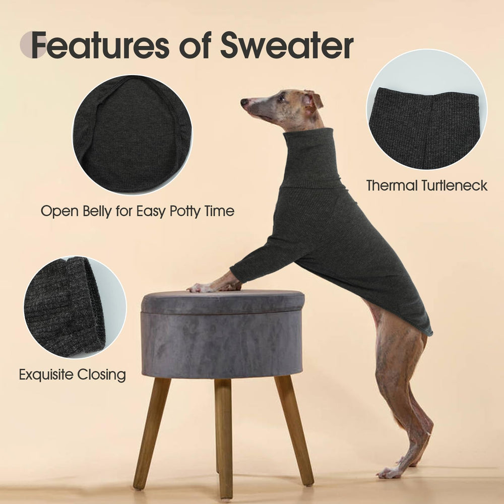 DENTRUN detalle-cuello sudadera galgos italianos cuello alto para mayor calor.