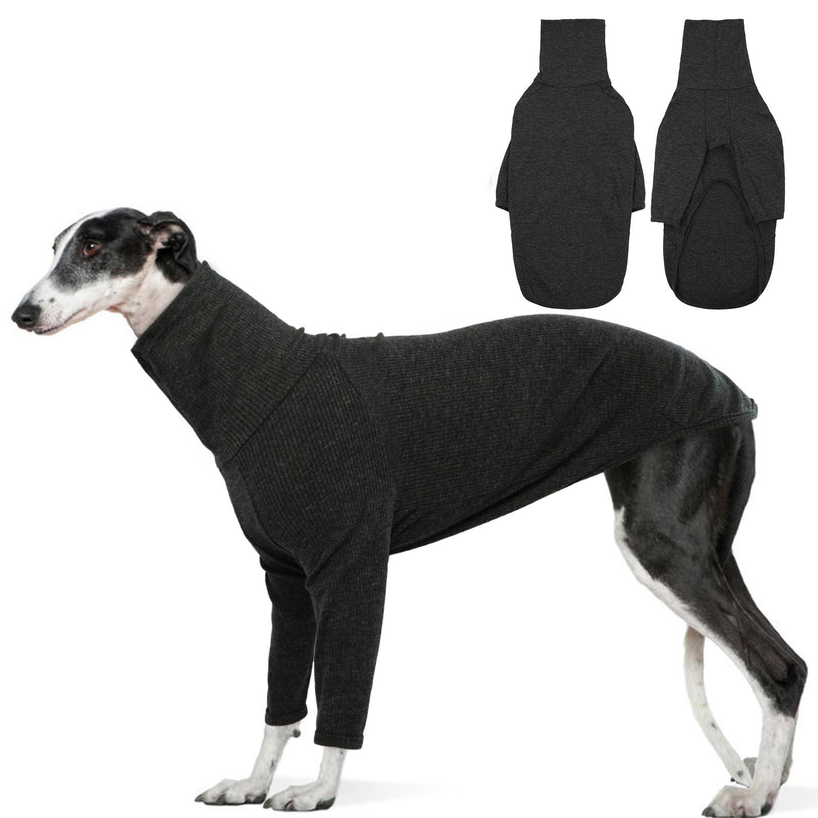 DENTRUN sudadera para galgos italianos frente: cálida para paseos fríos.