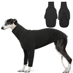 DENTRUN sudadera para galgos italianos frente: cálida para paseos fríos.