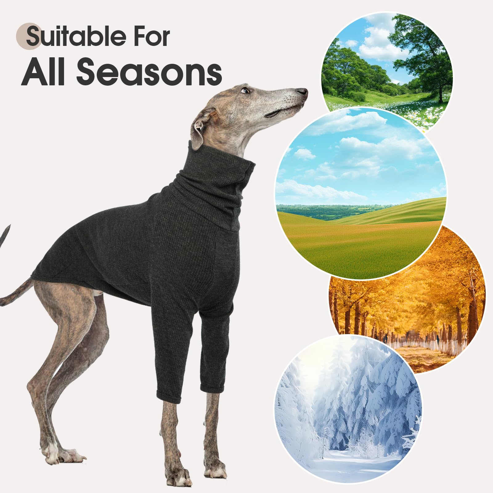 DENTRUN lavable-maquina sudadera galgos italianos fácil cuidado diario.