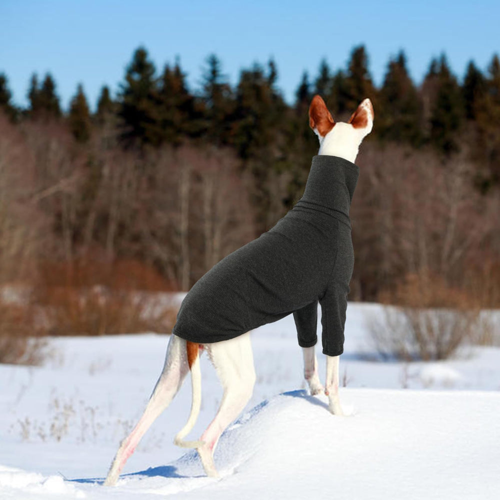 DENTRUN seguridad-sujecion sudadera galgos italianos evita deslizamientos durante juego.