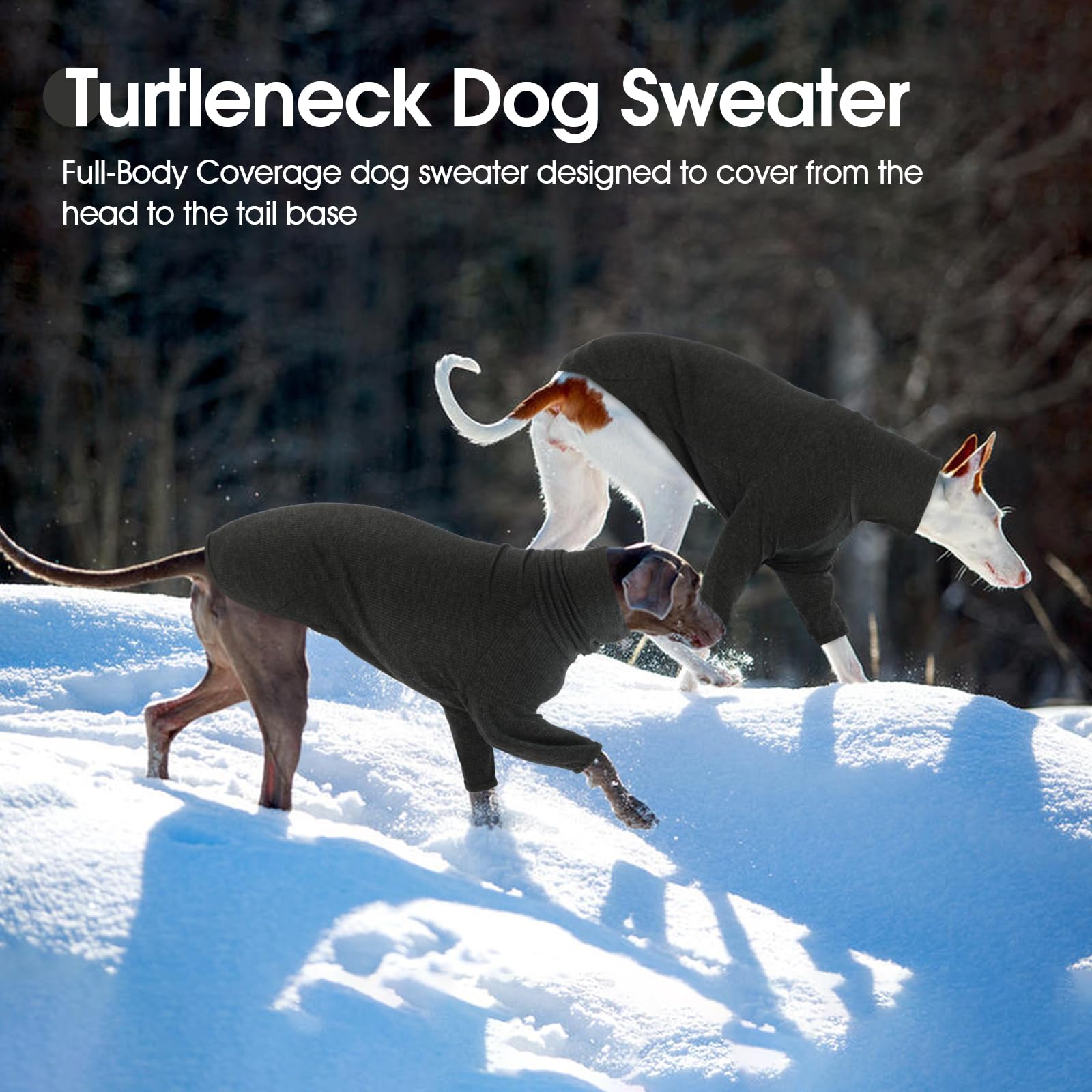 DENTRUN uso-exterior sudadera galgos italianos ideal para paseos invernales.