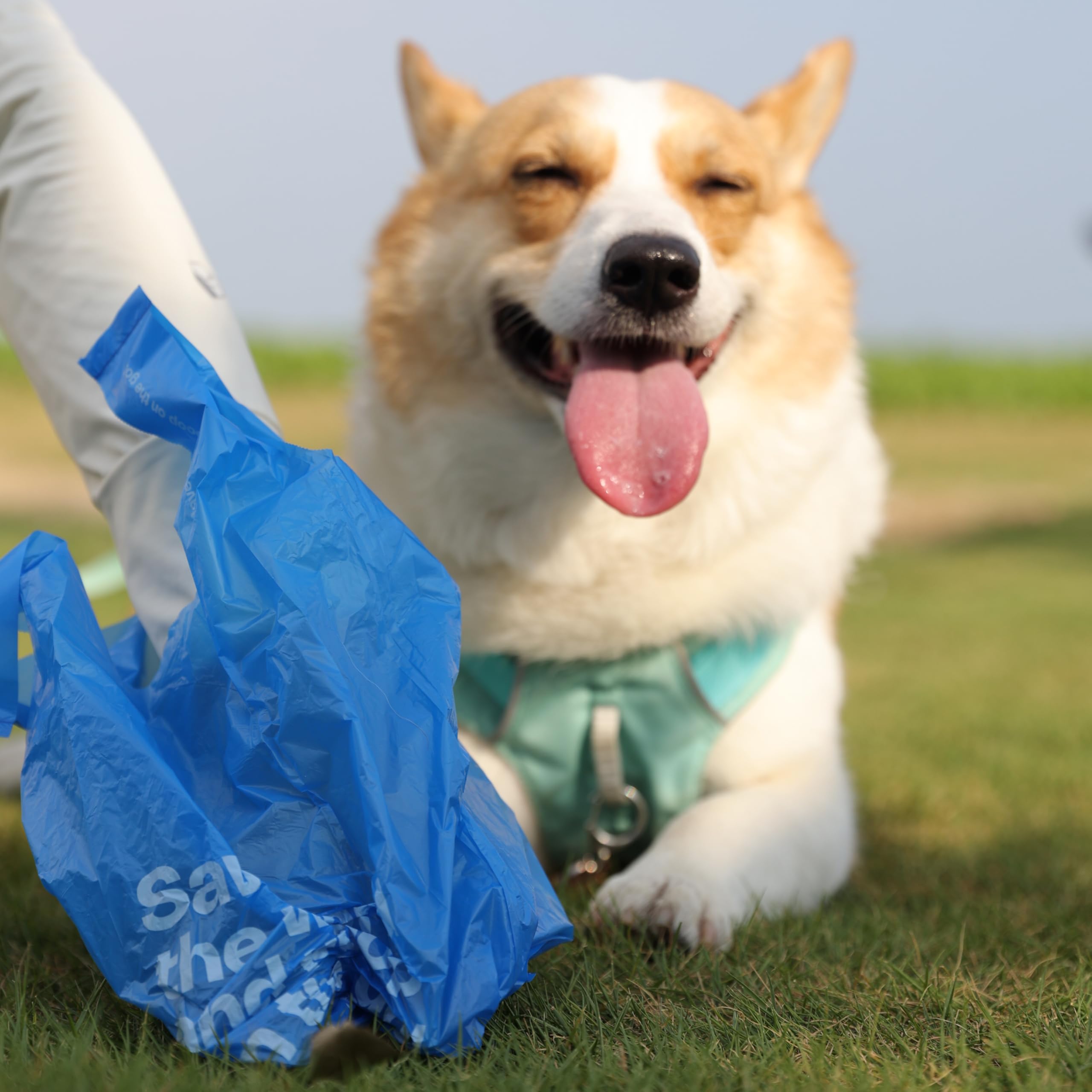 Materiales renovables y reciclados en las bolsas Deo Doo para sostenibilidad