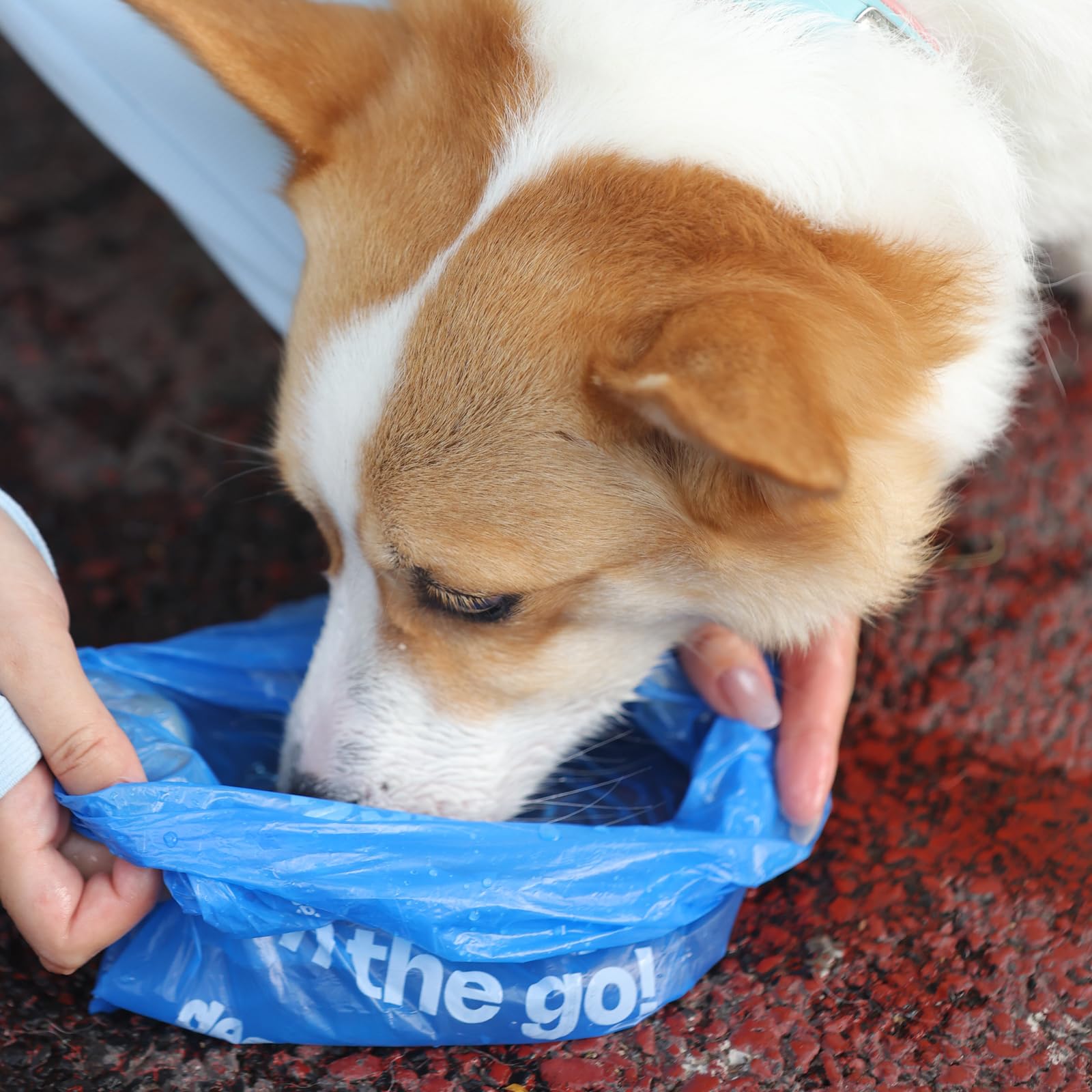 Diseño práctico Deo Doo para uso diario y paseos con mascotas