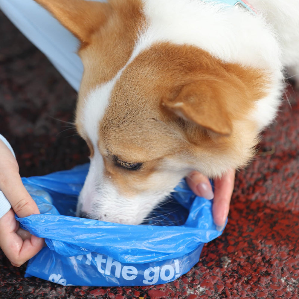 Diseño práctico Deo Doo para uso diario y paseos con mascotas