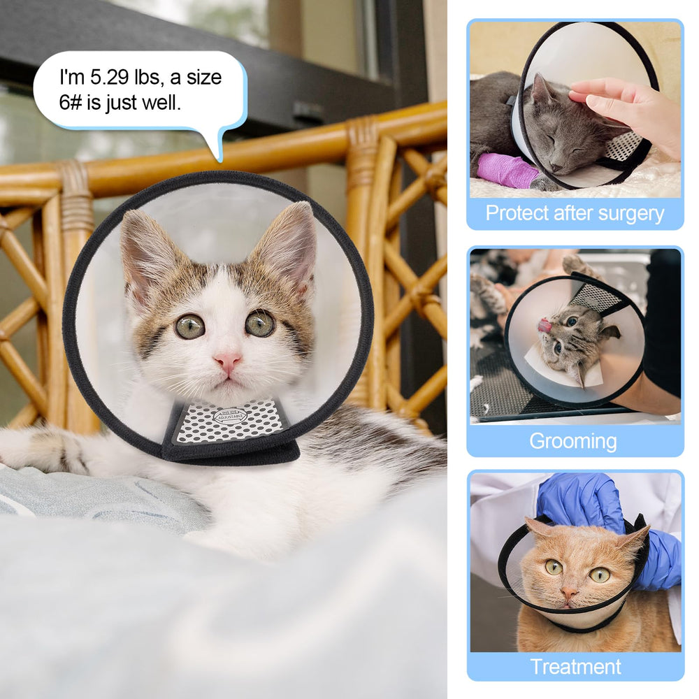 Cono protector Depets para animales pequeños durante curas.