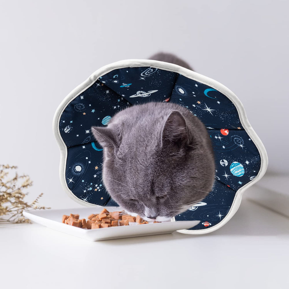 Cono de recuperación ligero Depets, diseño ajustable para gatitos.