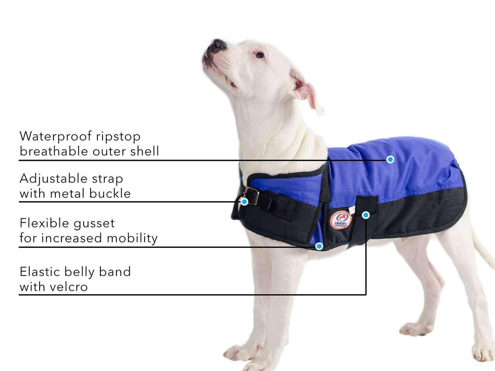 Derby Originals abrigo impermeable mantiene al perro seco incluso en lluvia