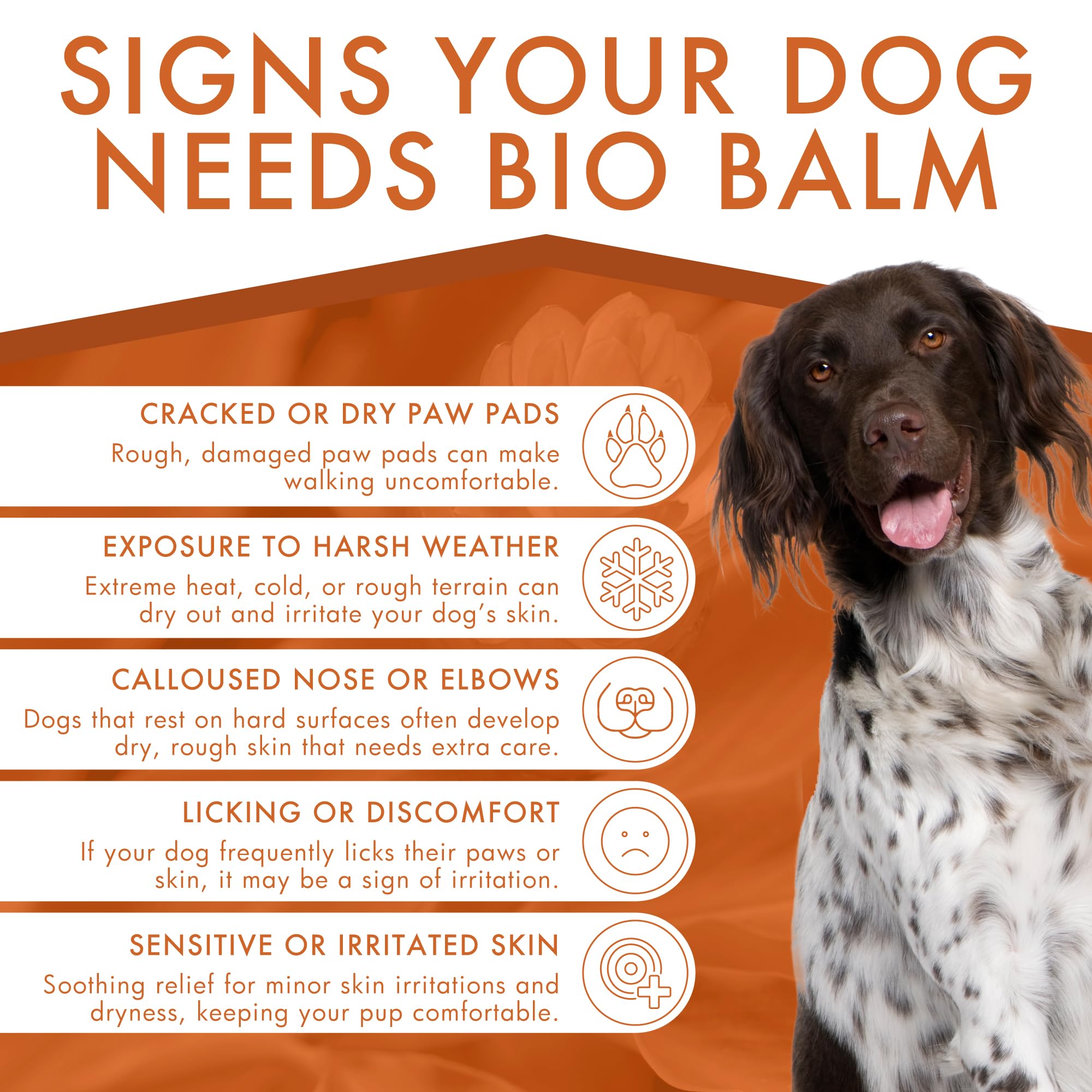 Dermoscent Bio Balm suaviza callos en patas con uso regular.