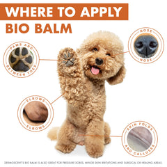 Dermoscent Bio Balm ingredientes orgánicos para piel sensible.