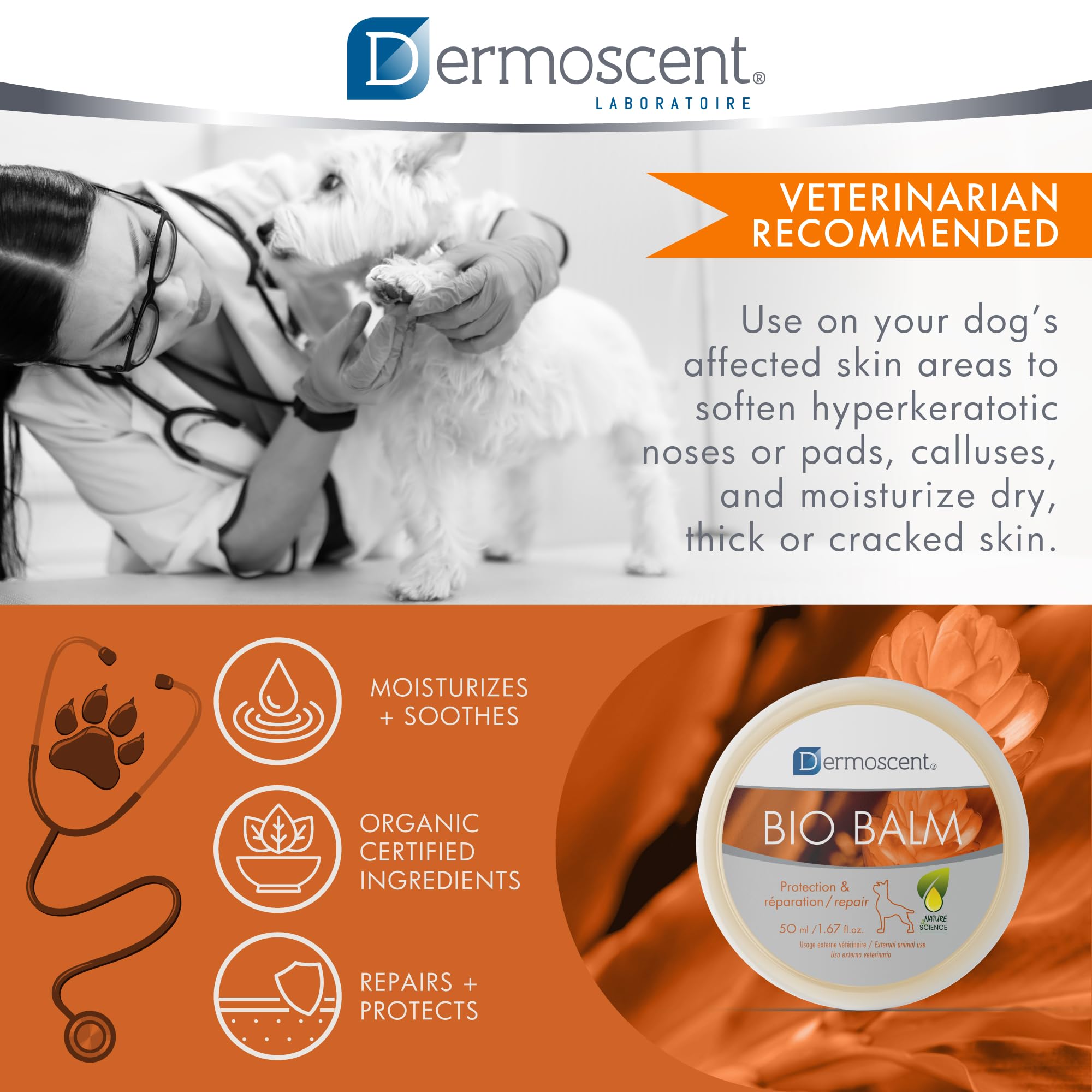 Protección impermeable ligera de Dermoscent Bio Balm en patitas.