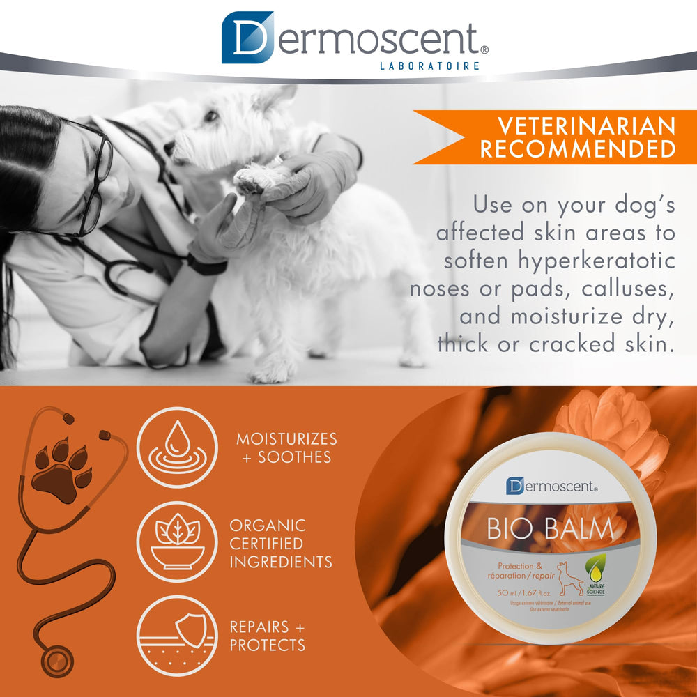 Protección impermeable ligera de Dermoscent Bio Balm en patitas.