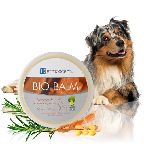 Regalo práctico para dueños preocupados por la salud de sus perros.