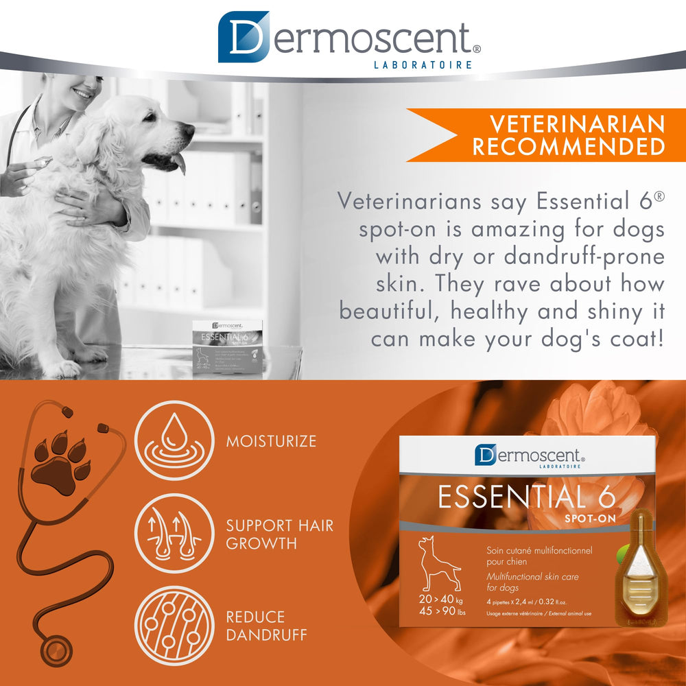 Dermoscent Essential 6: cuidado tópico que acompaña la hidratación de la piel.