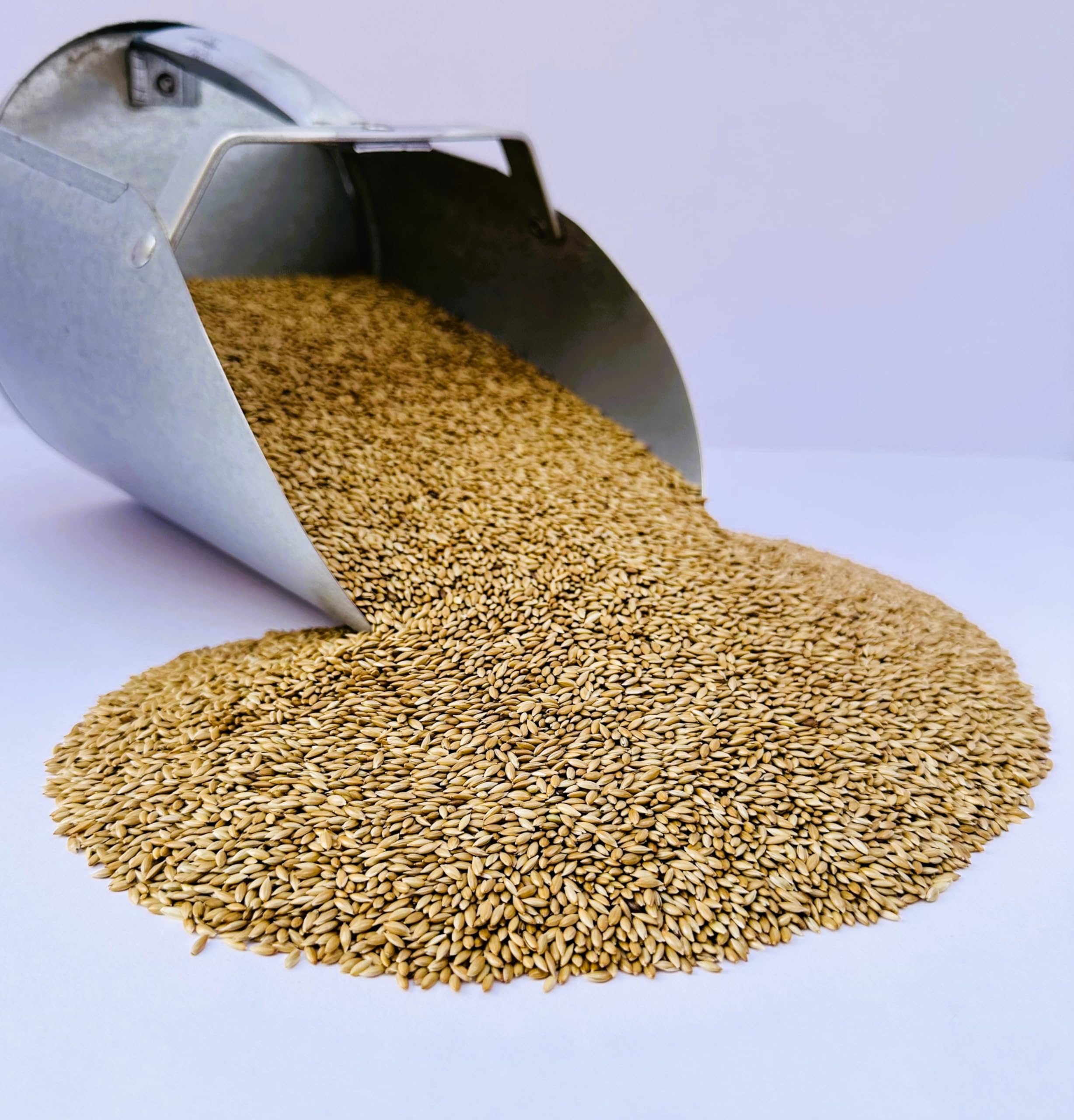 Empaque artesanal de Desert Valley Seed con pequeños lotes para frescura