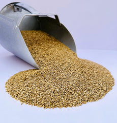 Empaque artesanal de Desert Valley Seed con pequeños lotes para frescura