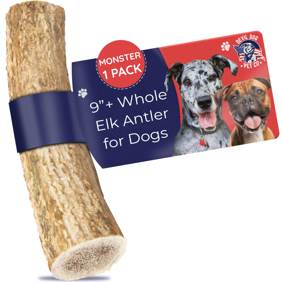 Asta de alce Monstruo de Devil Dog Pet Co, muestra masticación duradera para razas XL.
