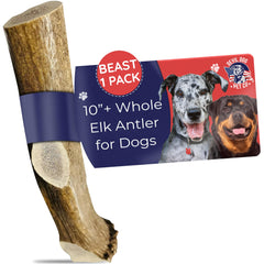Devil Dog Pet Co cuerno alce Beast 15oz: masticación duradera para razas grandes