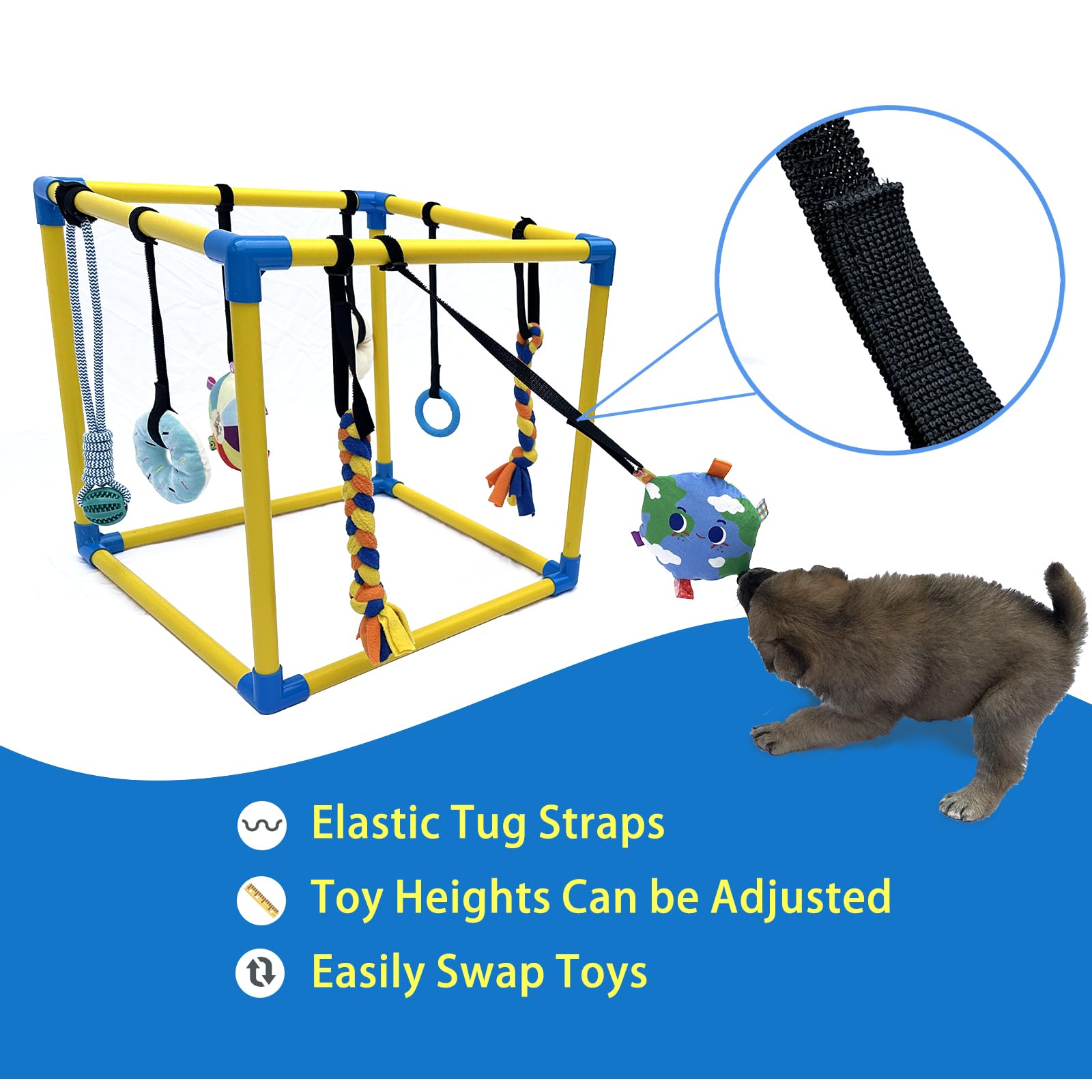 Gimnasio Dewonch interior para cachorros en PVC seguro y resistente