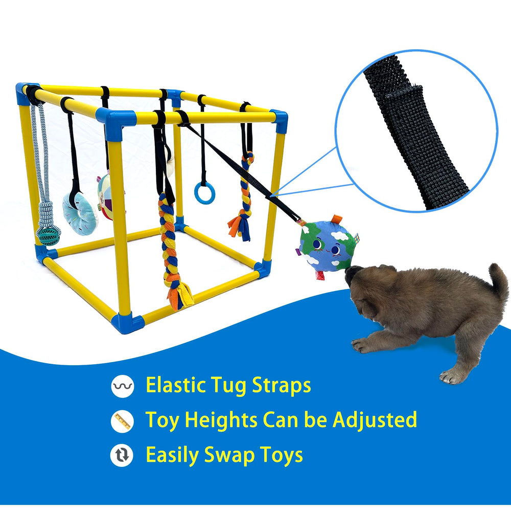 Gimnasio Dewonch interior para cachorros en PVC seguro y resistente