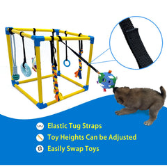 Gimnasio Dewonch interior para cachorros en PVC seguro y resistente