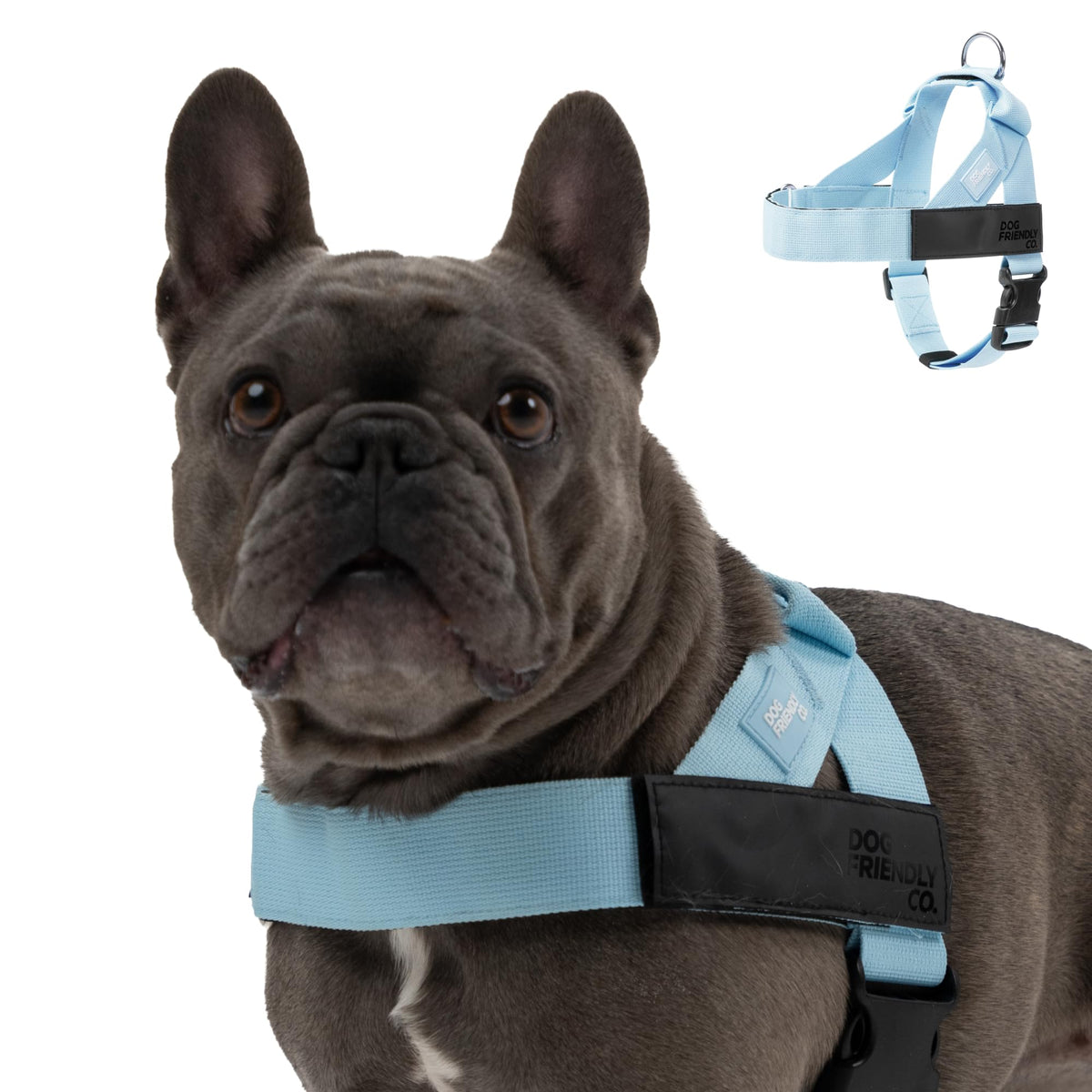 Arnés DF Co para perro con ajuste cuello y pecho, ideal para paseos cómodos.