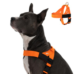 DF Co arnés para perro naranja de alta visibilidad para paseos seguros