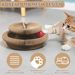 DFQ Kitty Kurlz: diseño plegable para almacenamiento fácil