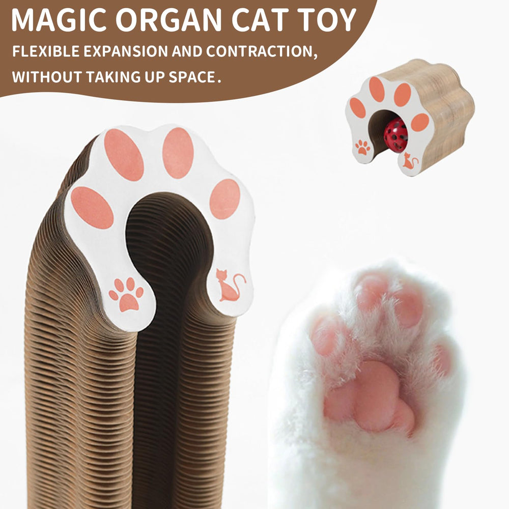 DFQ Kitty Kurlz: almacenamiento compacto para guardar y transportar