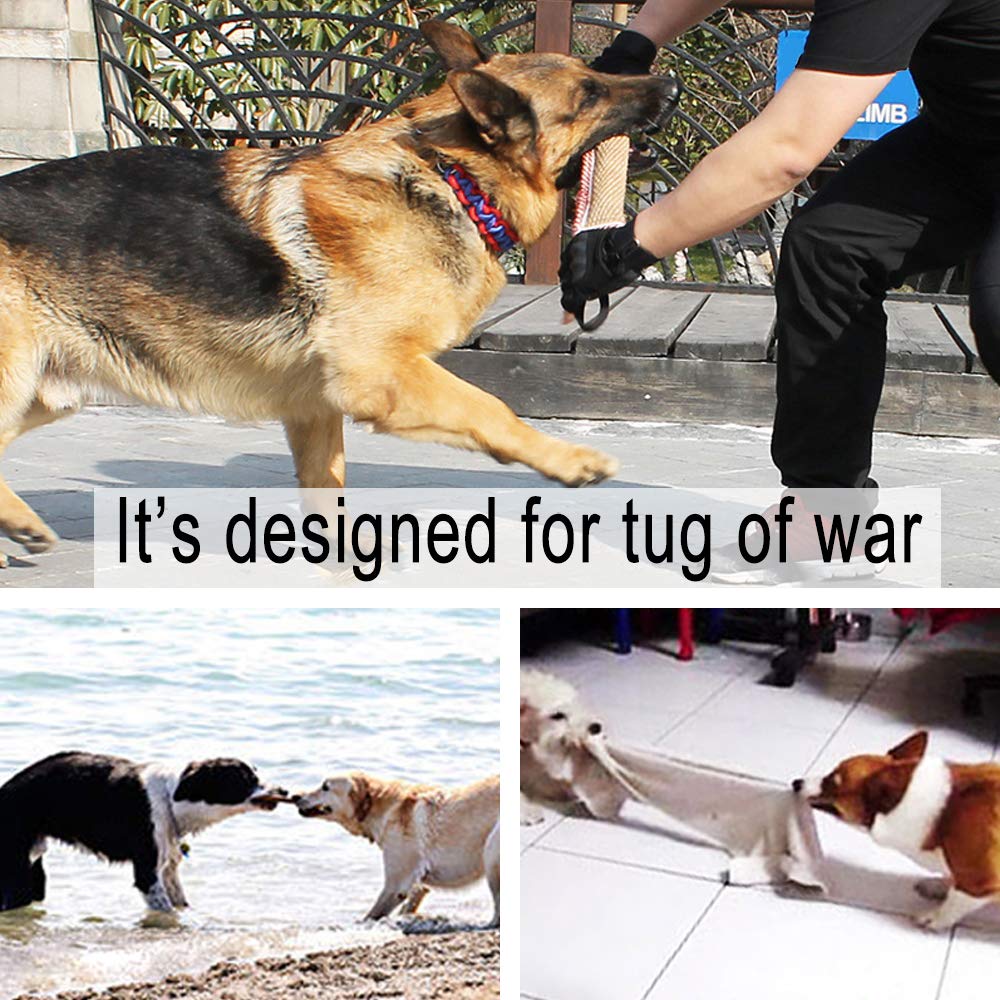 DGSL Juguete apto para uso en interior y exterior para perros.