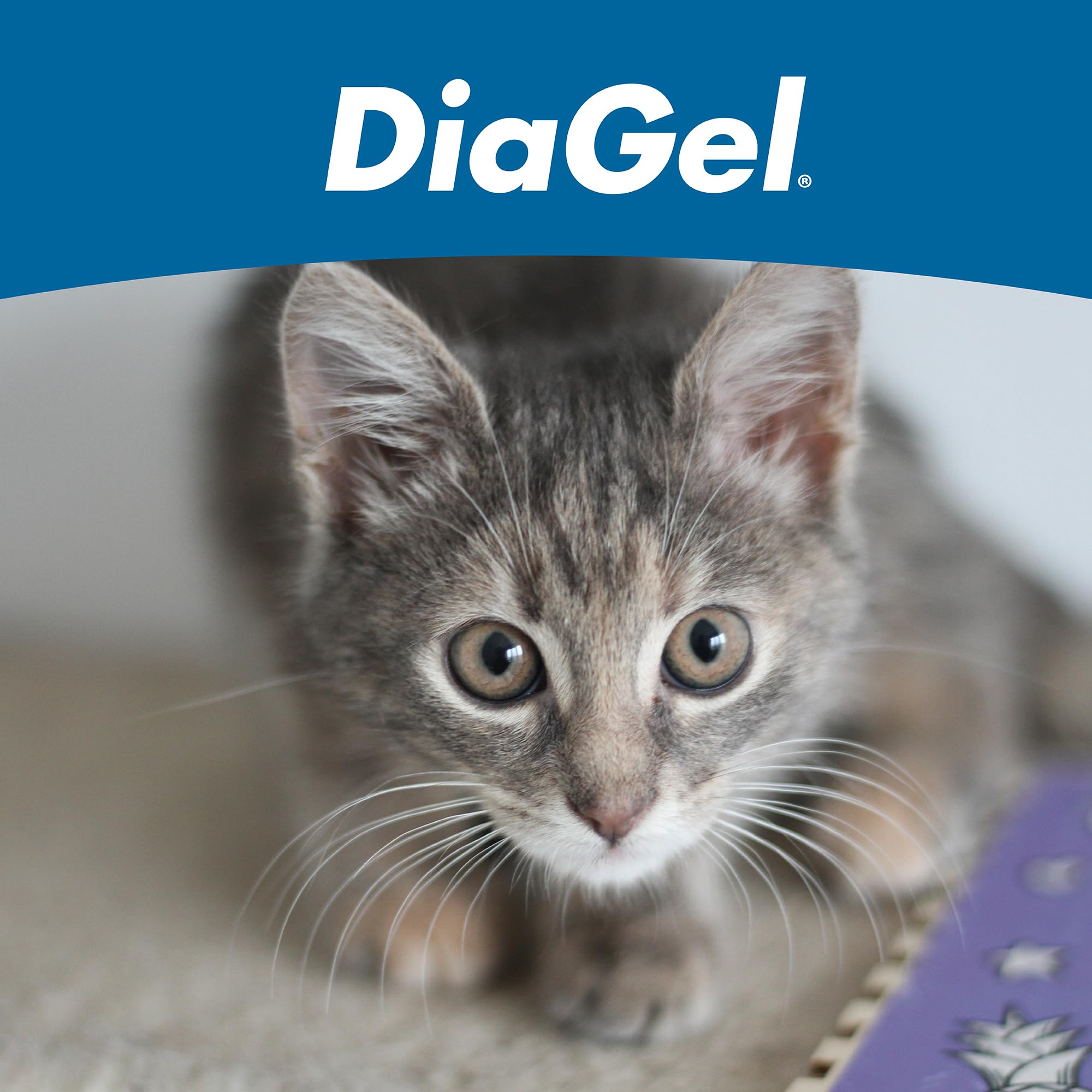 DiaGel gatitos de Van Beek Natural Science, uso en viajes para normalizar la digestión