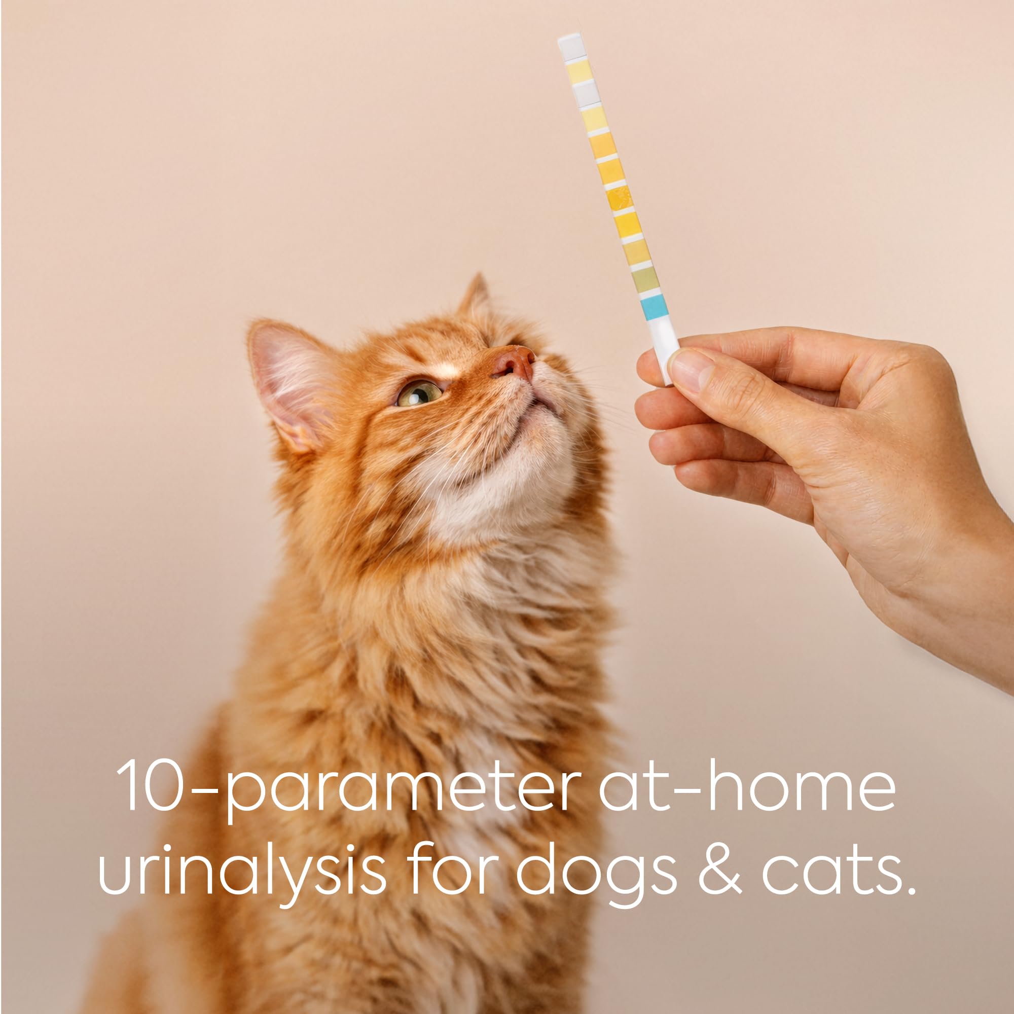 DIAGNOX HEALTH PETNOX: recomendado para seguimiento veterinario y monitoreo domestico.