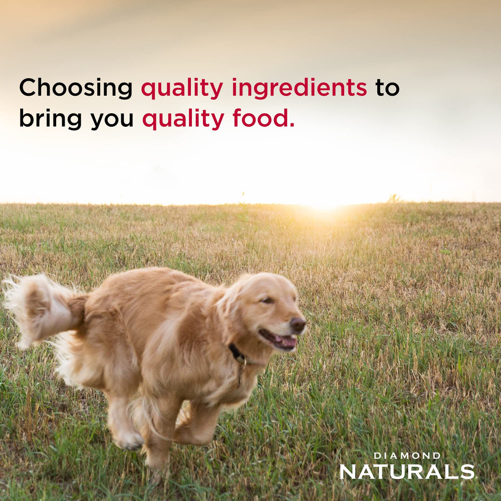 DIAMOND NATURALS, probióticos y prebióticos para digestión y sistema inmune