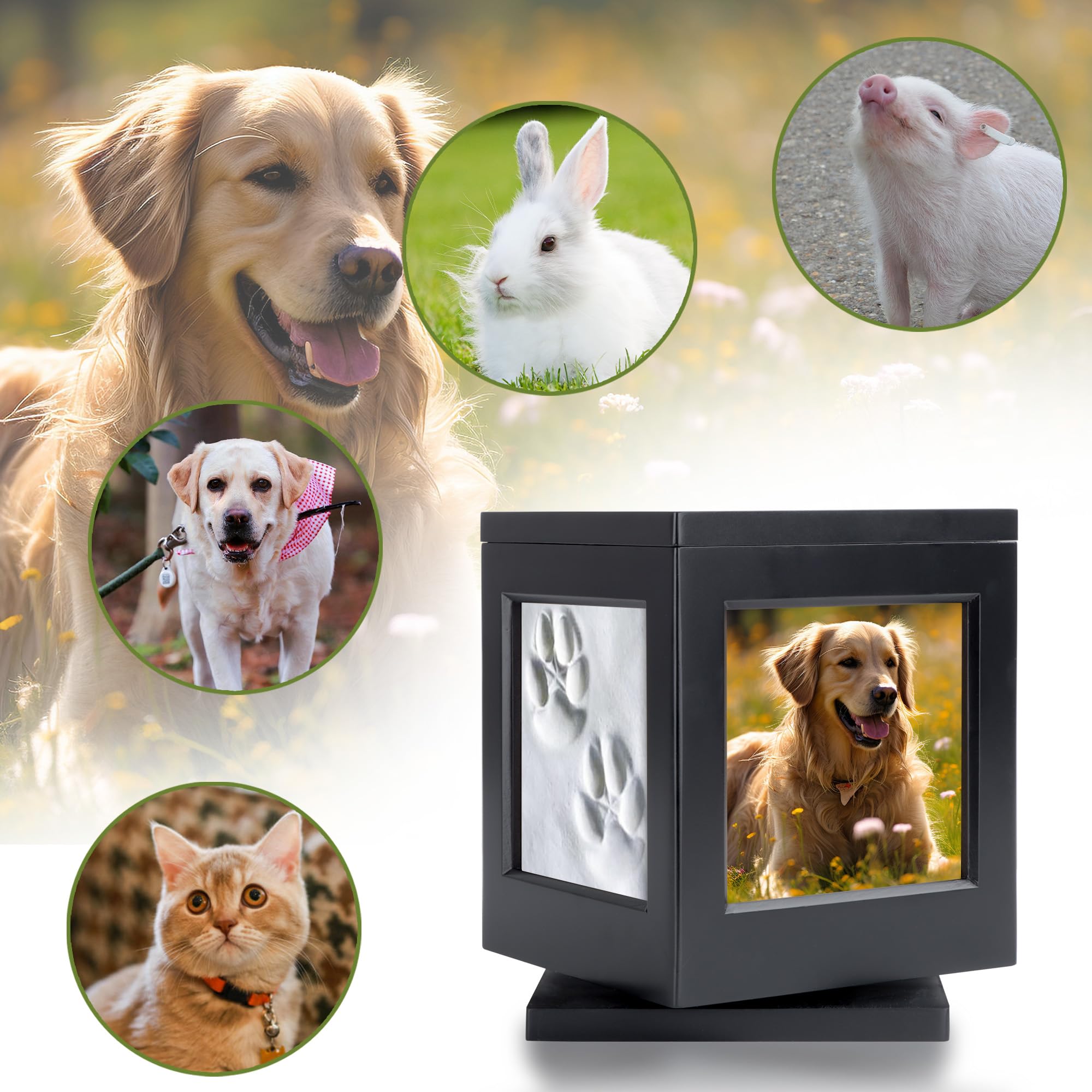 DiDiBirDi urna para perros negra con espacio para 3 fotos y arcilla.