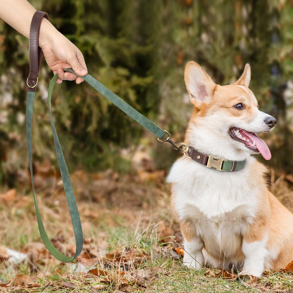 Didog asa acolchada verde para un agarre suave durante el paseo