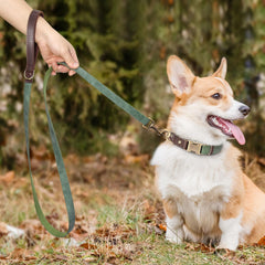 Didog asa acolchada verde para un agarre suave durante el paseo