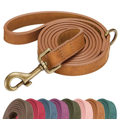 Didog correa PU para perro pequeño, estilo 5 ft, ideal para paseos.
