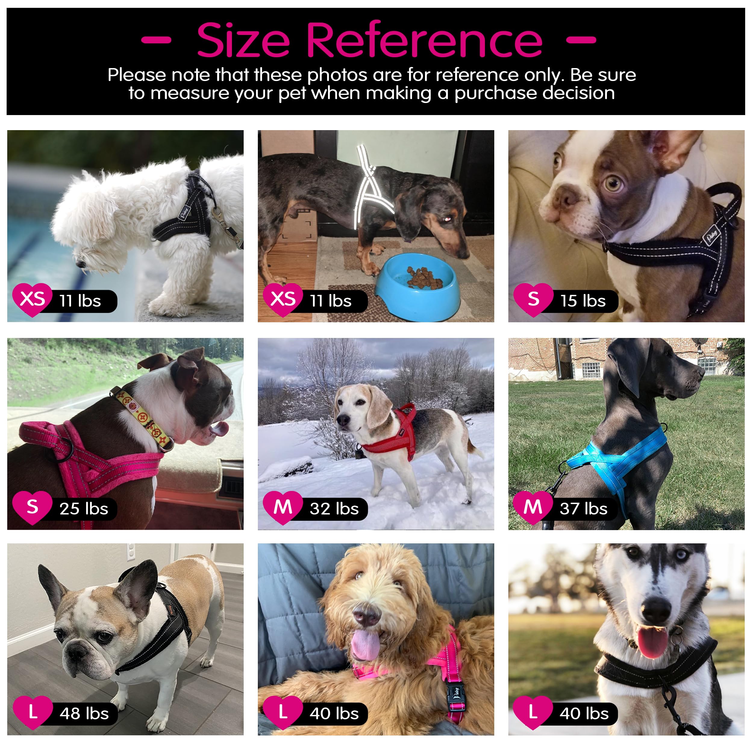 Didog diseño anti-escape para paseos más tranquilos.